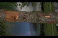 IMG 6634