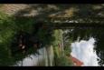 IMG 6641