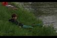 IMG 6650