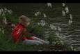 IMG 6651