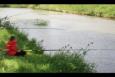 IMG 6661